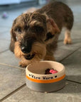 Small Dog Bowls