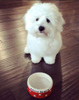 Small Dog Bowls