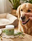 Natural Snout Balm for PETS