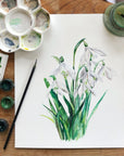 Snowdrop - January Birth Flower - Watercolour Fine Art Print