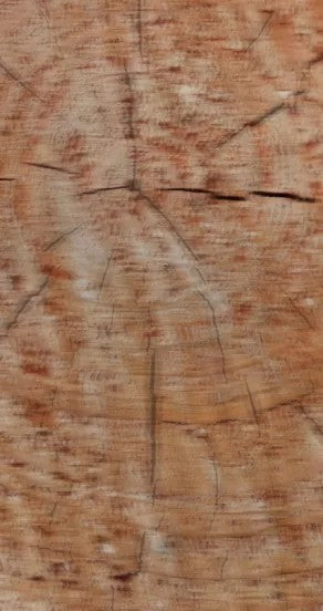 Spray Perfume Paradox In A Bottle 15ml and 50ml