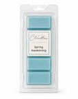 Spring Awakening Soy Wax Melt