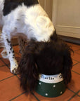 Springer Spaniel Bowl