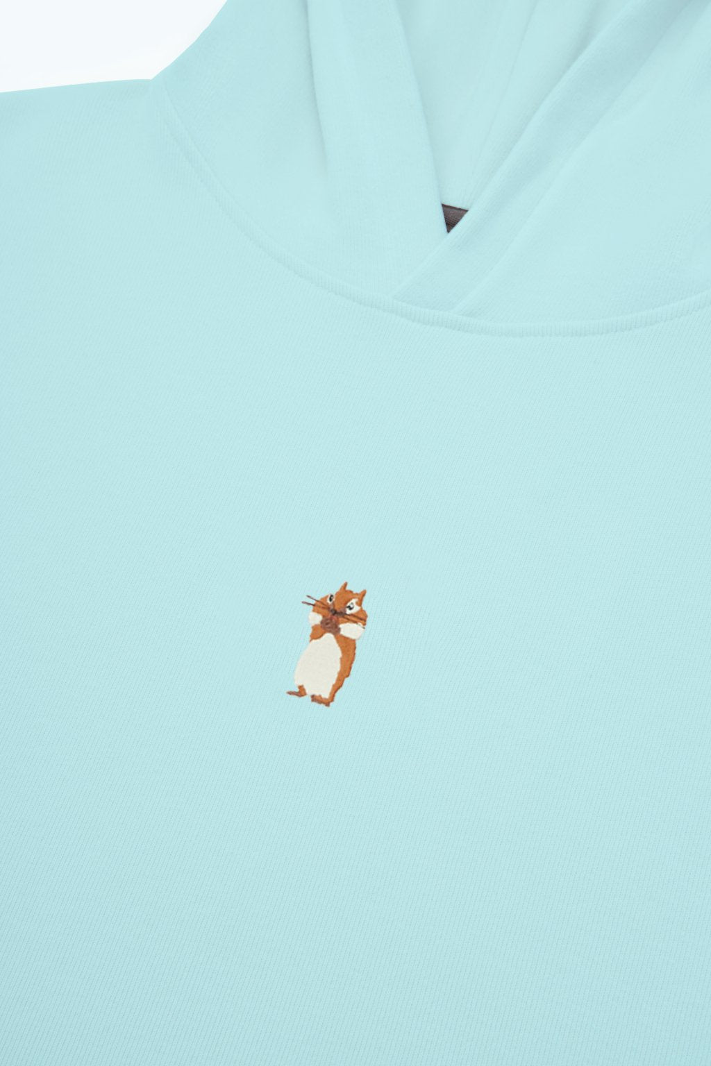 Unisex Mint Squirrel Hoodie