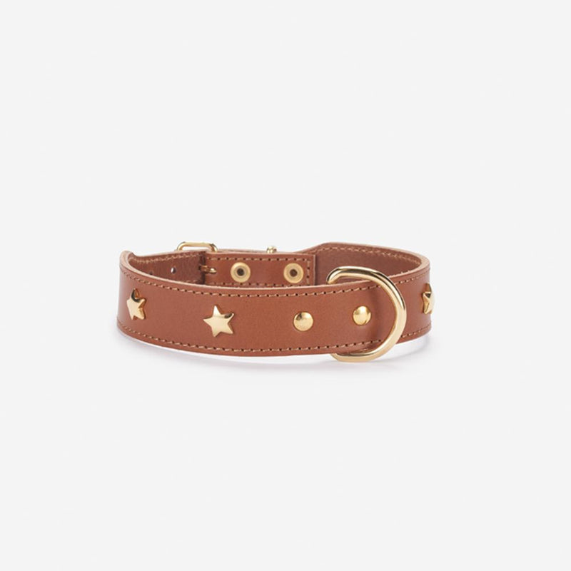 Branni "Star" Handmade Italian Leather Dog Collar