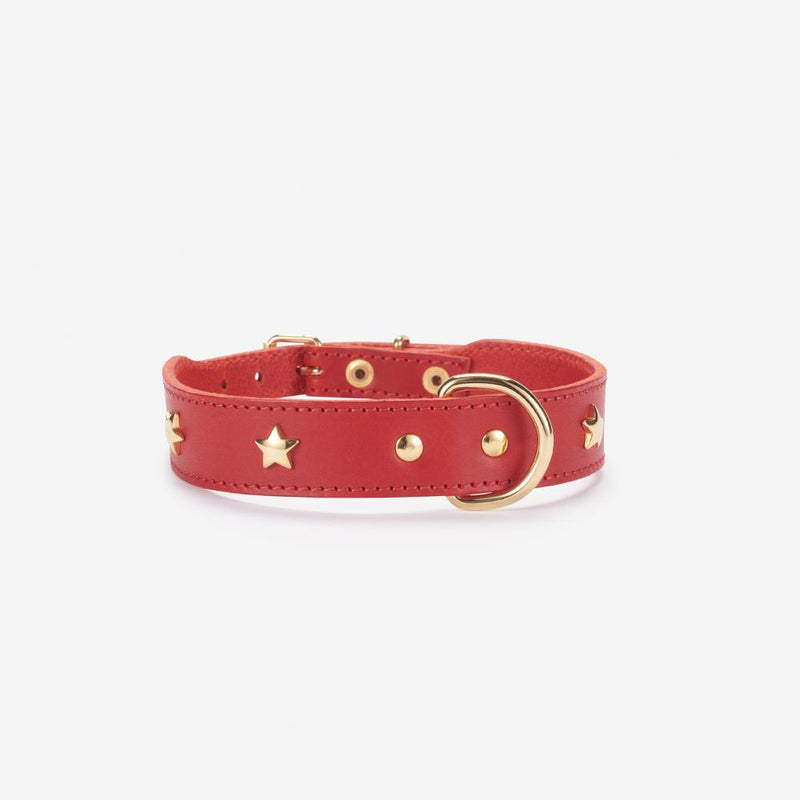 Branni "Star" Handmade Italian Leather Dog Collar