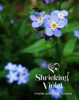 Forget-Me-Not Dachshund Pendant Necklace