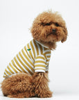 Striped T-Shirt - Portuguese Cotton