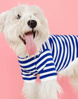 Striped T-Shirt - Portuguese Cotton