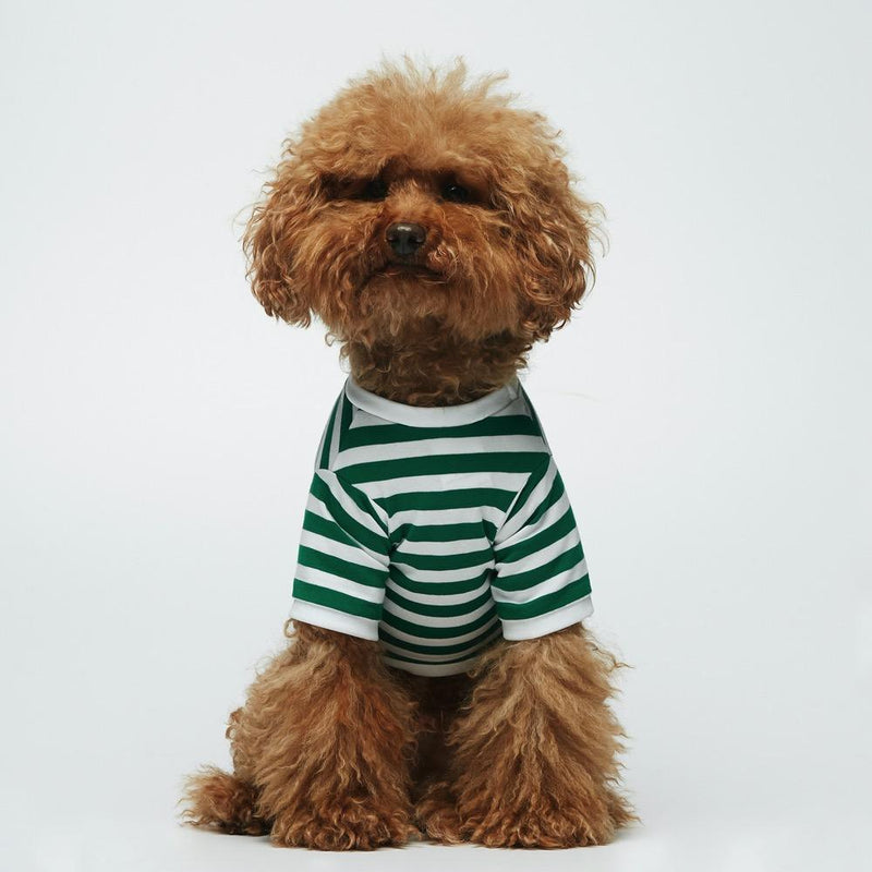 Striped T-Shirt - Portuguese Cotton