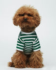 Striped T-Shirt - Portuguese Cotton