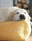Corduroy Dog Bed in Honey