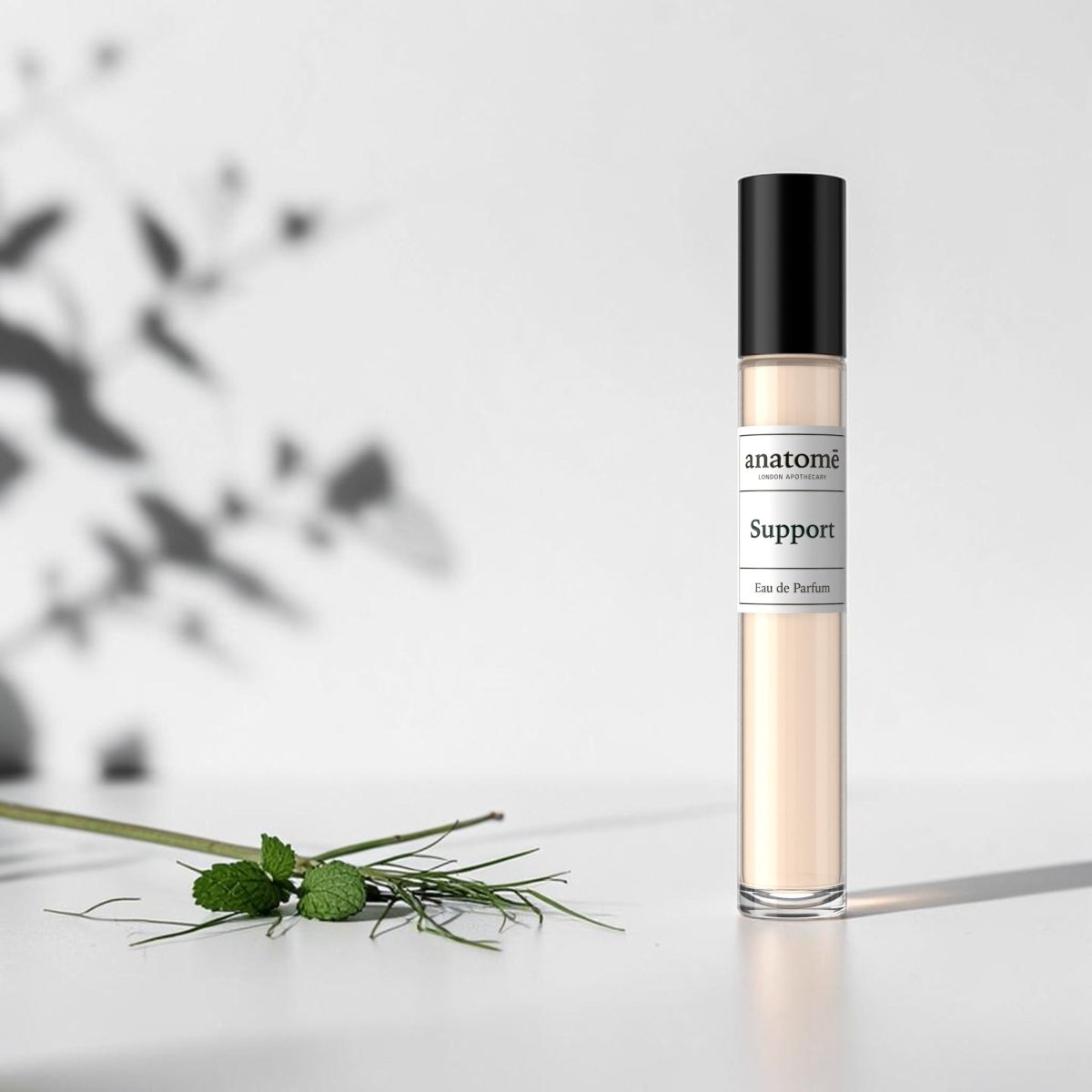 Support Eau de Parfum | Protective, herbaceous &amp; restorative