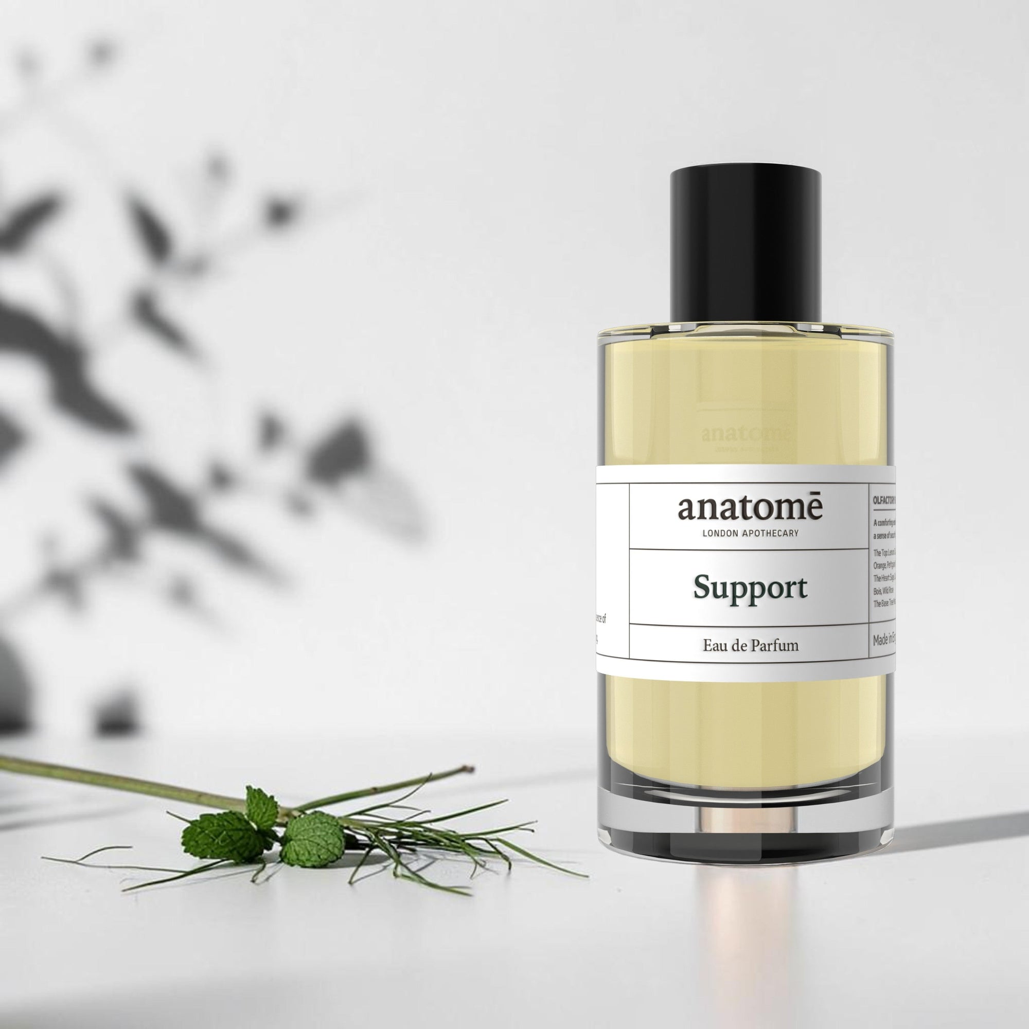 Support Eau de Parfum | Protective, herbaceous &amp; restorative