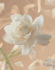 Tallulahs Camellia Perfume 100ml