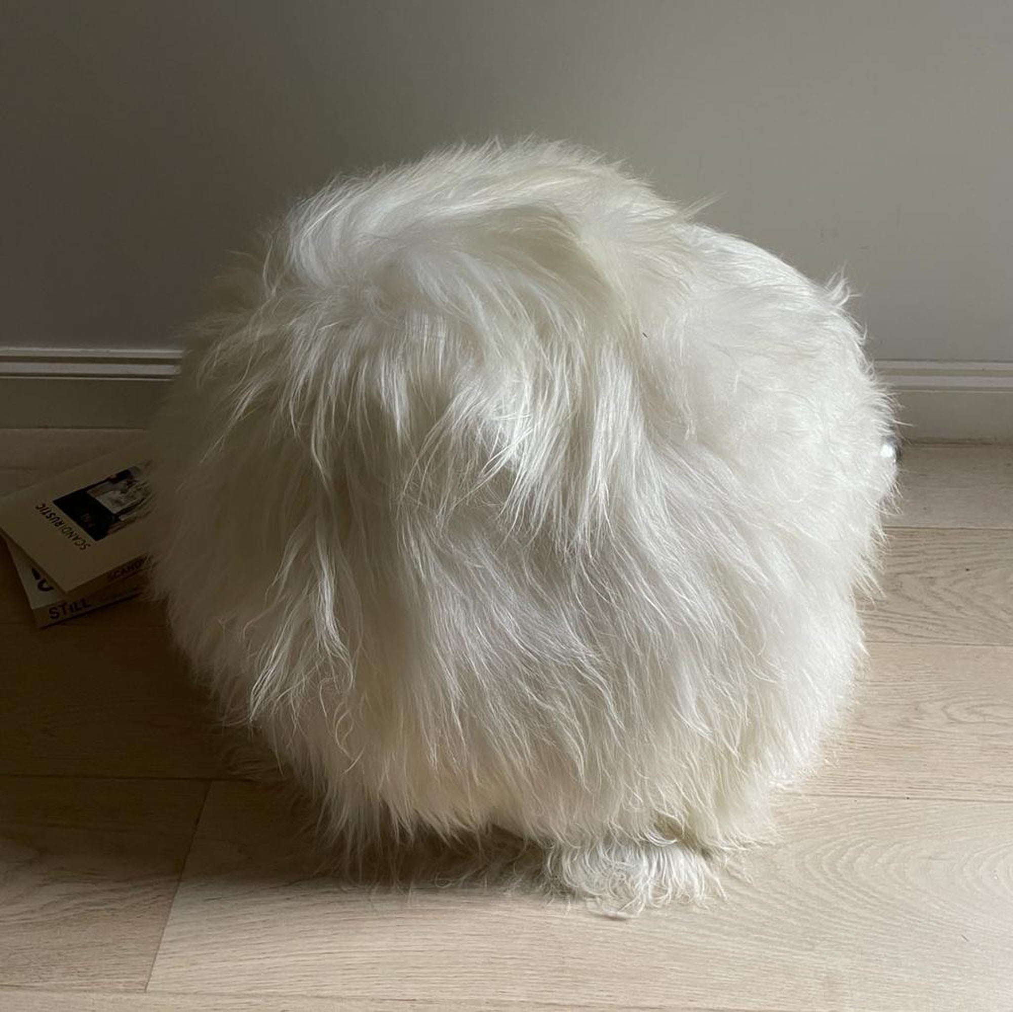 Luxury Icelandic sheepskin pouffe, premium long fur boule footstool, stylish grey boudoir seat, handcrafted and best-selling by Wildash London at brixbailey.com