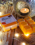 Orange & Clove - Wax Melt Clamshell