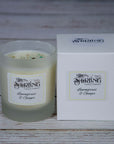 Lemongrass & Ginger - Medium Candle