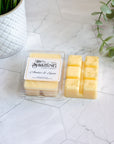 Amber & Spice - Wax Melt Clamshell