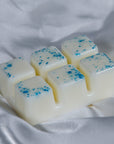 Fairy Dust - Wax Melt Clamshell