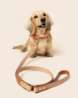 Timeless Dog City Lead - Handmade Leather