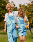 Tonal Colourblock Shorts - Blue