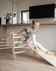 Montessori Climber and Slide Ramp for Indoor Toddlers