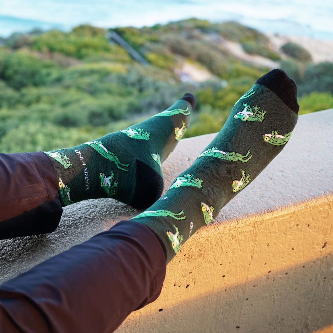 Bamboo Tree Frog Socks in Green
