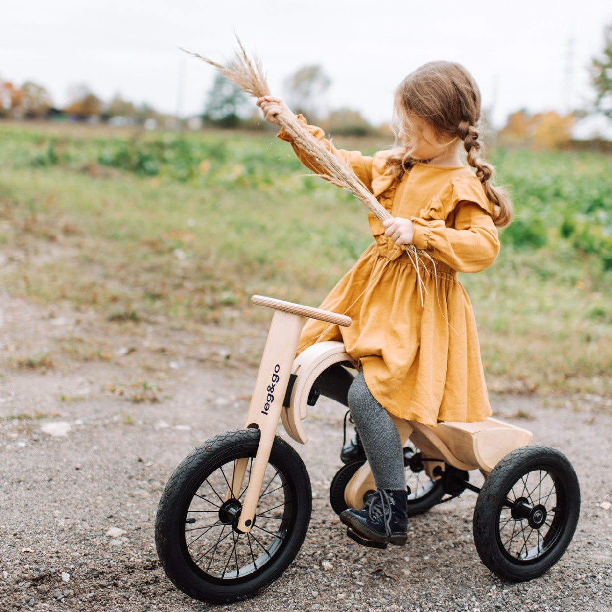 Tricycle Add On for Toddler Balance Bike Adventures
