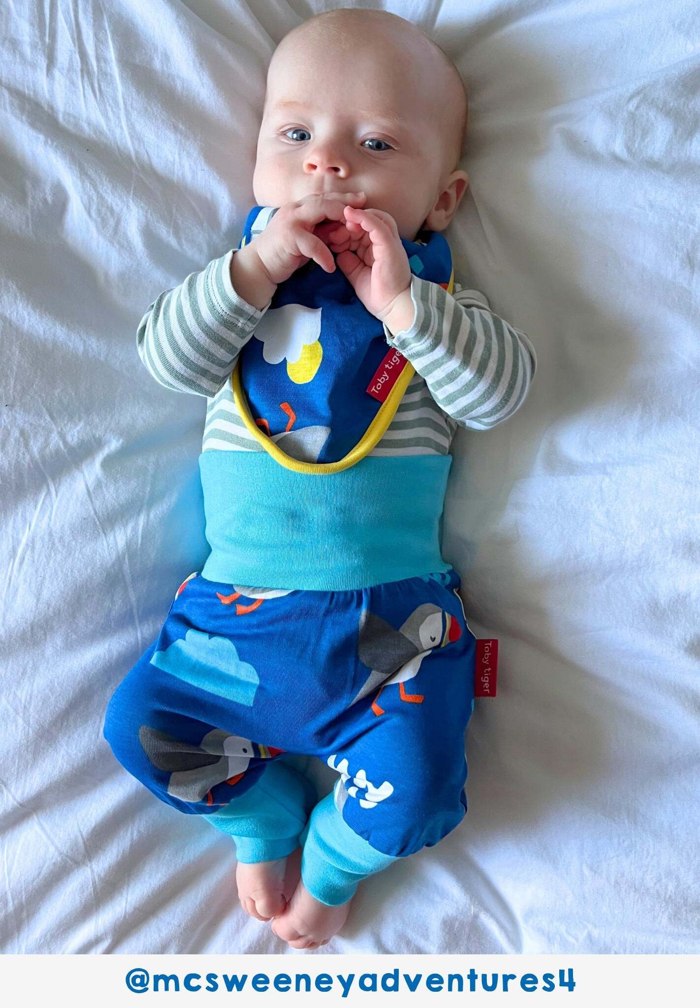 Stylish Organic Yoga Pants with Playful Parrot Print, Sun, Clouds and Waves, Comfortable Fold-Over Waistband, GOTS Certified Cotton by Toby Tiger at brixbailey.com