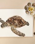 Sea turtle greetings card