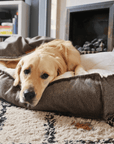THE LINCOLN | LUXURY TWEED FLAT PILLOW DOG BED