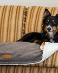 THE LINCOLN | LUXURY TWEED FLAT PILLOW DOG BED