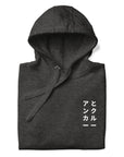 01 Japan Gurafiku Cotton Blend Hoodie