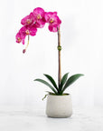 Real Touch Pink Phalaenopsis Orchid Plant - 21"
