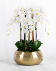 Large Orchid Centerpiece Arrangement in Gold Vase
