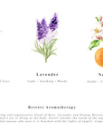 Body Meditation Cleanse & Restore Box