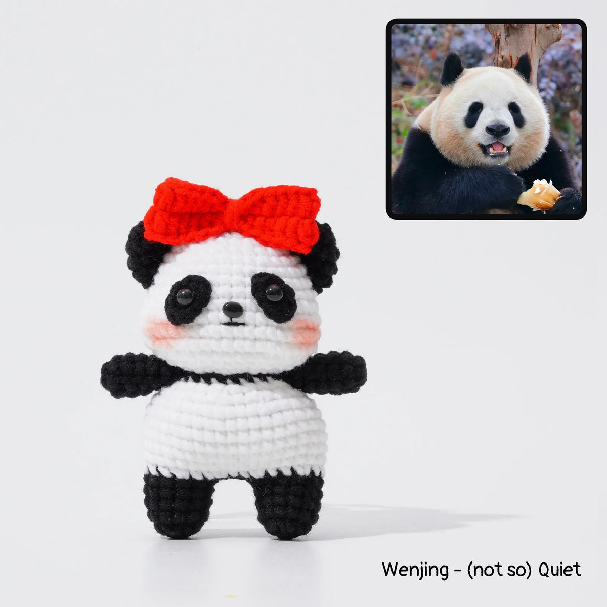 Giant Panda Family