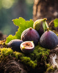 Wild Fig & Oakmoss