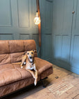 Whiskey Stave Floor Lamp | Reclaimed Oak Rustic Standard Lamp UK