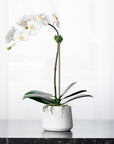 Artificial orchid plant - white orchid in white pot - 21"