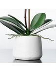 Artificial orchid plant - white orchid in white pot - 21"