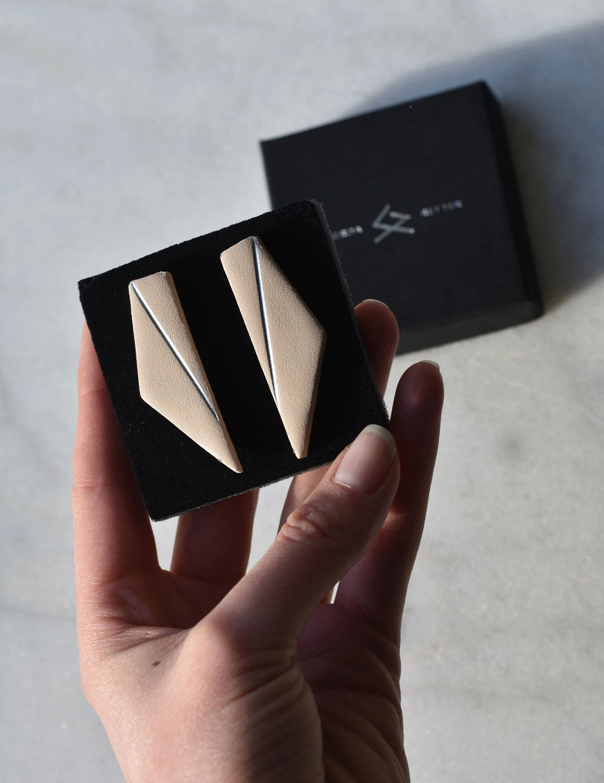 Short Wings Statement Earrings in Assorted Colours