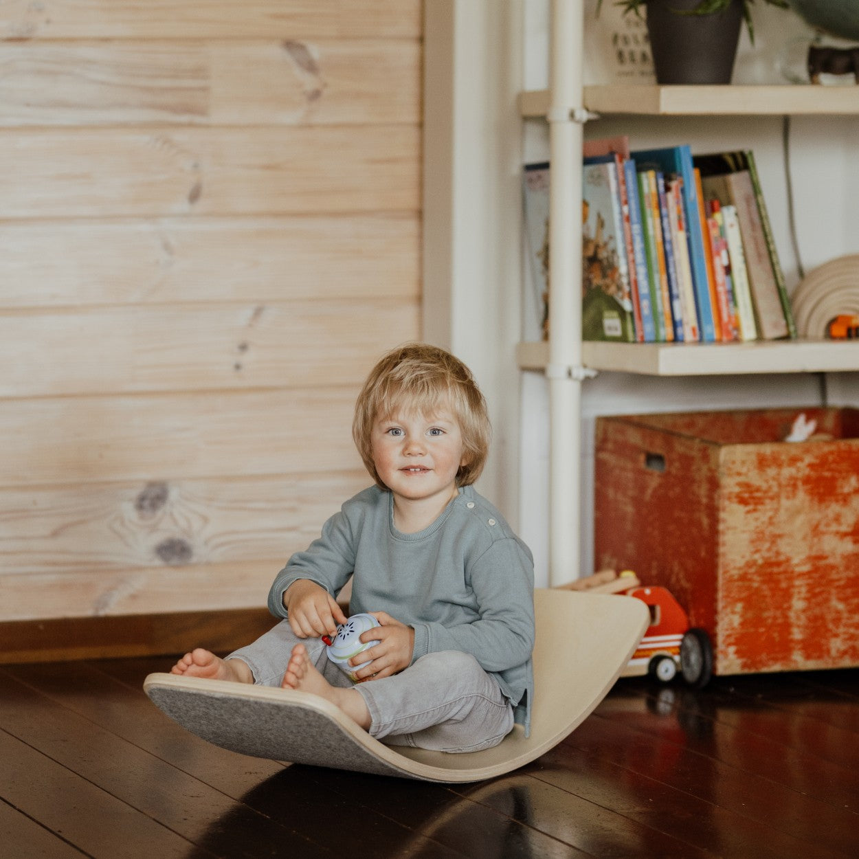 Wooden Balance Board with Grey Felt Lining