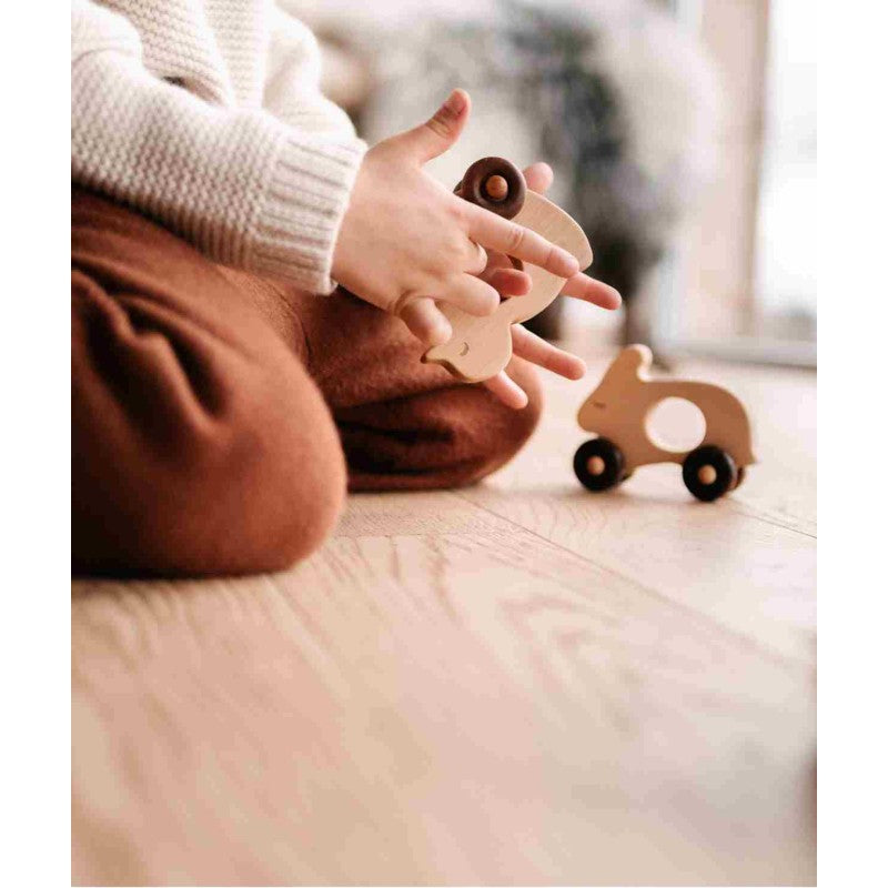 Wooden Duck Push Toy on Wheels