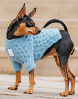 You are not alone Knitwear