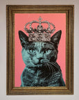 Your Majesty Cat Framed Print
