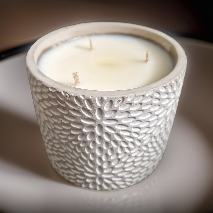 Luxury cement container candles, minimalist modern design, scented in vintage bookshop, zen, enchanted forest, rock salt amber, eco-friendly vegan by Ralph's Orchard at brixbailey.com