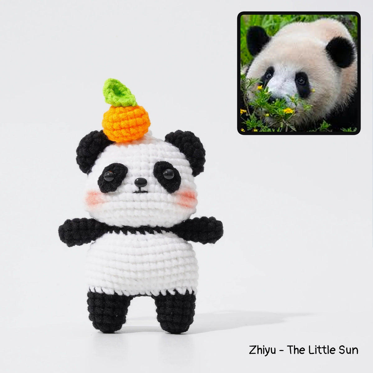 Giant Panda Family