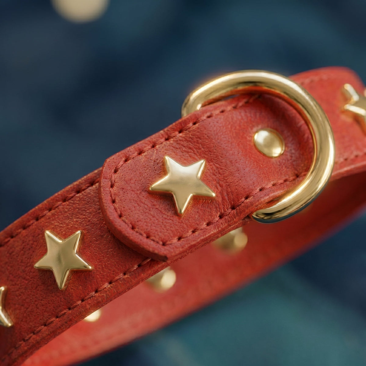Branni "Star" Handmade Italian Leather Dog Collar